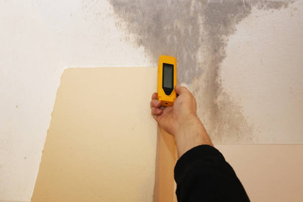 Forensic Mold Investigation in Mount Vernon, GA