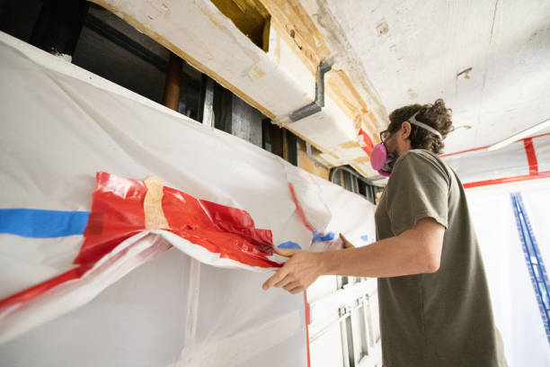 Professional Mold Removal in Mount Vernon, GA
