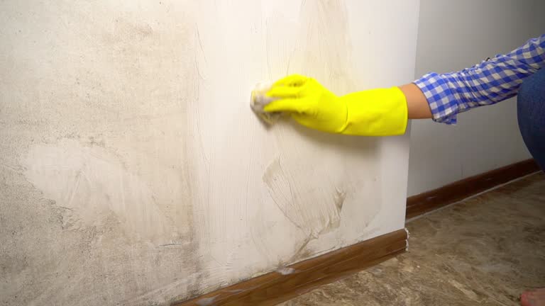 Mold Remediation for Vacation Homes in Mount Vernon, GA