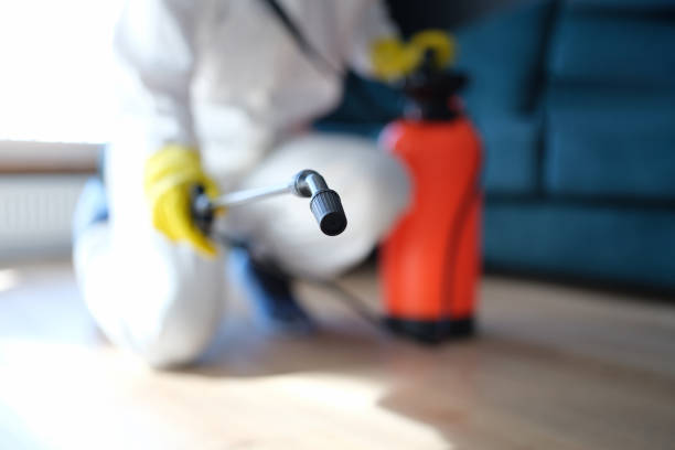 Best Forensic Mold Investigation  in Mount Vernon, GA