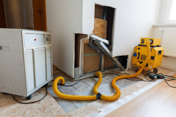 Asbestos and Lead Testing During Mold Inspection in Mount Vernon, GA